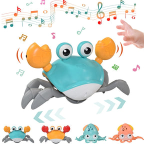 Rhythmic Crab