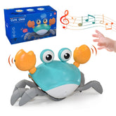 Rhythmic Crab